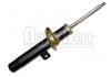 Amortiguador Shock Absorber:5202.X9