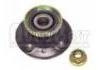 комплекс ступичного подшипника Wheel Hub Bearing:7701205170