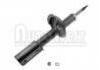 Amortiguador Shock Absorber:5202.J5