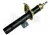 Amortiguador Shock Absorber:5202.G5