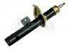 Amortiguador Shock Absorber:5202.G6