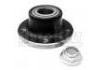 轮毂轴承单元 Wheel Hub Bearing:6025171136
