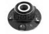 轮毂轴承单元 Wheel Hub Bearing:7704002261