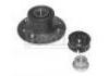 轮毂轴承单元 Wheel Hub Bearing:7701206353