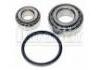 ремкомплект подшипники Wheel Bearing Rep. kit:7701465647