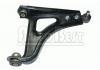 Brazo de suspensión Control Arm:7700820029