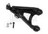 Brazo de suspensión Control Arm:7700818053