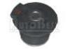 Suspension Bushing:7700767684
