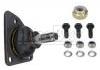 Joint de suspension Ball Joint:7701463686