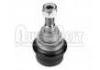Joint de suspension Ball Joint:7700312851