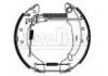 Zapata de freno Brake Shoe Set:4241.9F