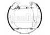 Zapata de freno Brake Shoe Set:4241.6N