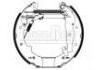 Zapata de freno Brake Shoe Set:7701205309