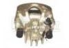 Brake Caliper:4400.J5