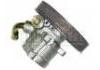 转向助力泵 Power Steering Pump:4007.R0