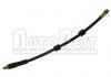 Flexible de frein Brake Hose:4806.A0