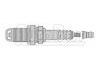 火花塞 Spark Plug:1214003