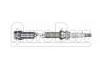 火花塞 Spark Plug:5960.G1