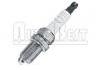 火花塞 Spark Plug:5962.6K