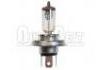 Bulb:P43T