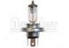 Bulb:P45T
