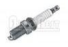 火花塞 Spark Plug:0031596703