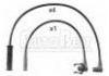 Cables de encendido Ignition Wire Set:7700742835