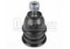 Joint de suspension Ball Joint:54503-34A00
