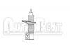 Amortiguador Shock Absorber:5202.K8
