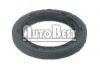 Oil Seal:7700743160