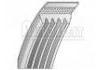 Keilrippenriemen V-Ribbed Belt:5PK855