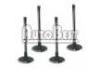 впускной клапан Inlet Valve:96182934, V94636, R6094