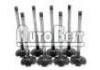 впускной клапан Inlet Valve:90412277, V91995, 4500849