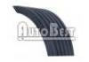 Keilrippenriemen V-Ribbed Belt:6PK1873, 25183021, 96183108