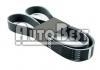 Keilrippenriemen V-Ribbed Belt:5PK0870