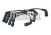 Cables de encendido Ignition Wire Set:96288956